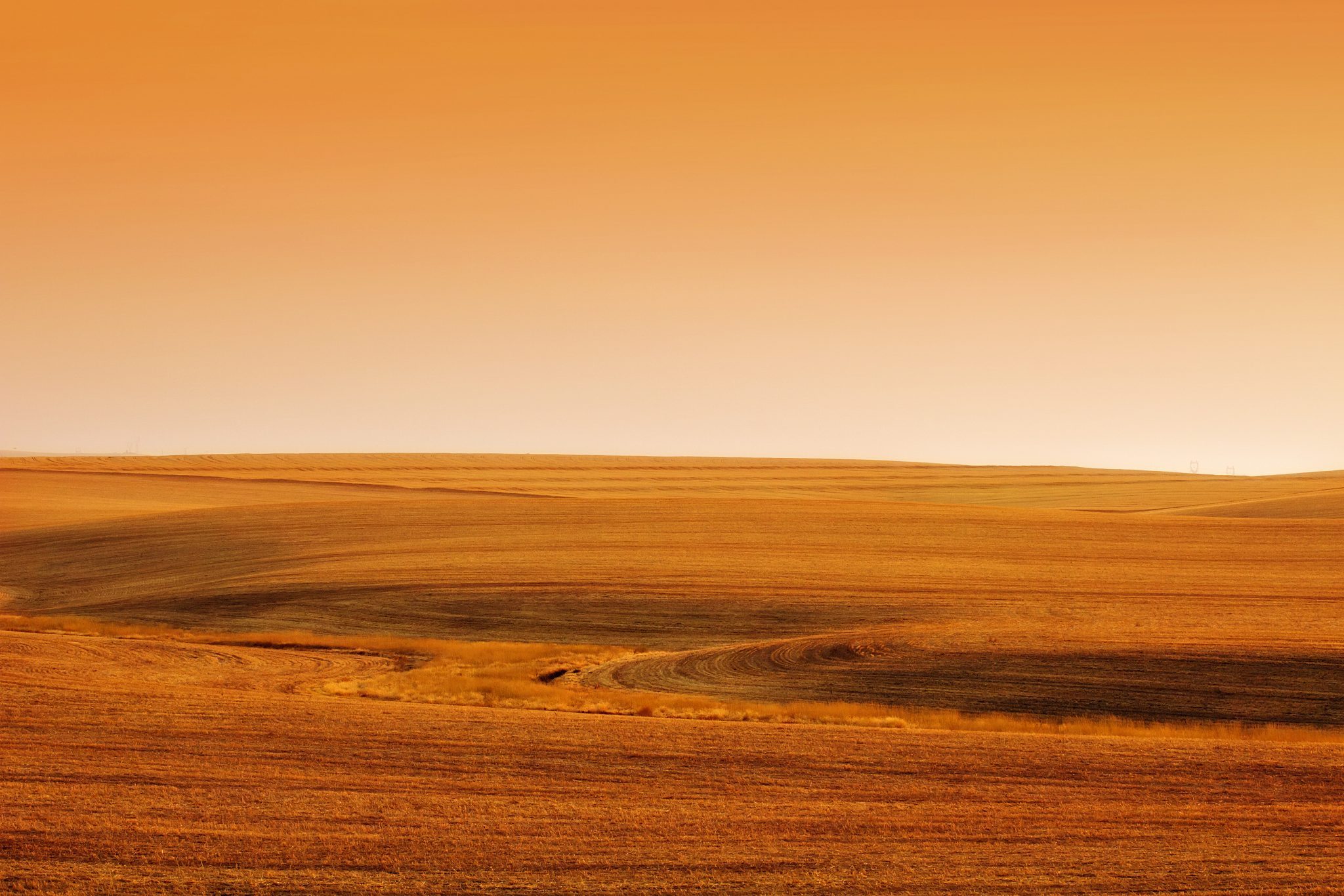 Desert