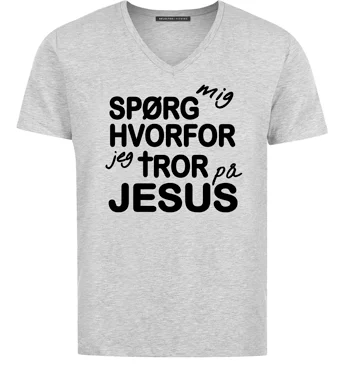 T shirt sporgmig grey