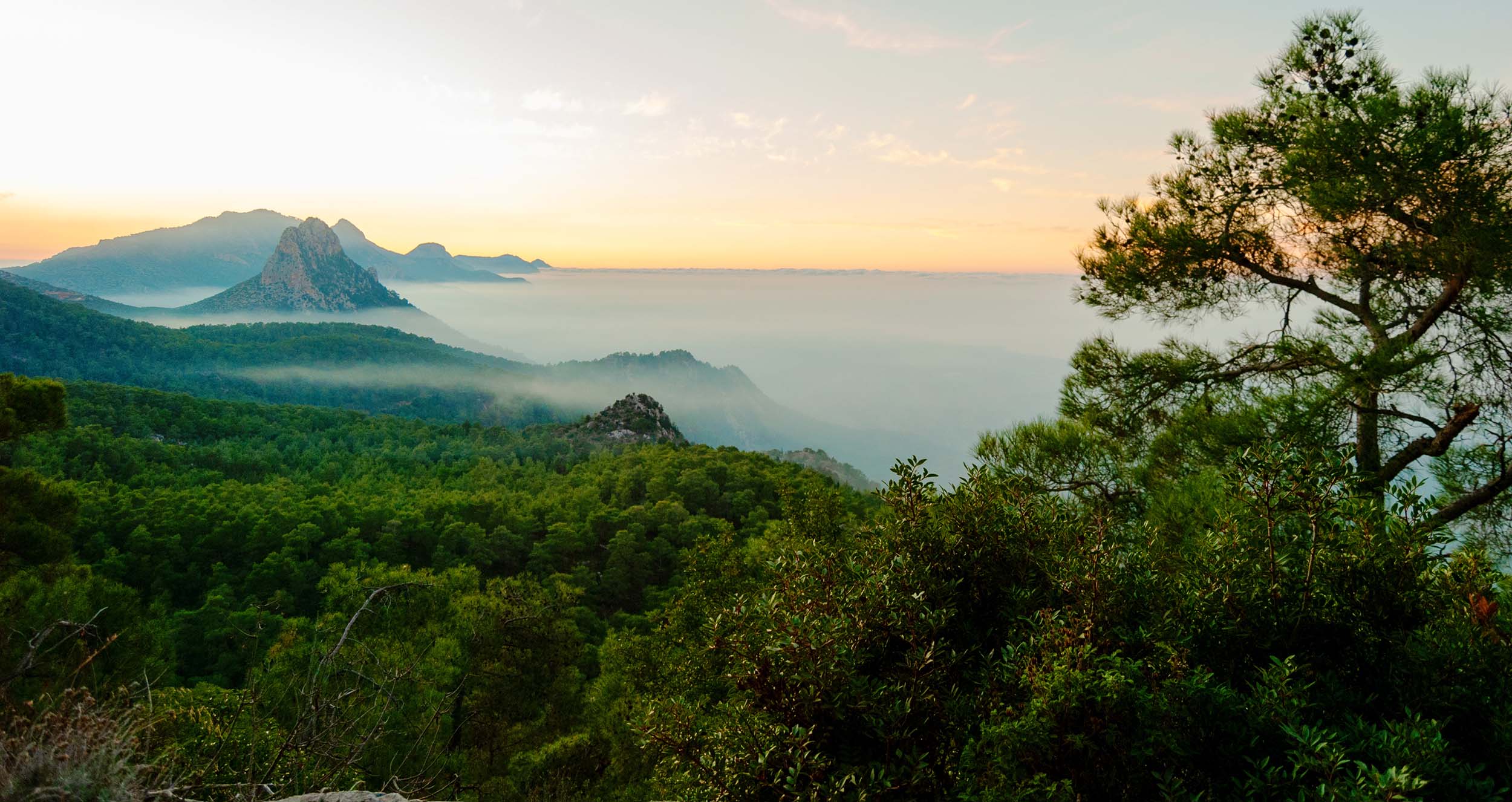 Lev i Ånden – Tænk med Ånden