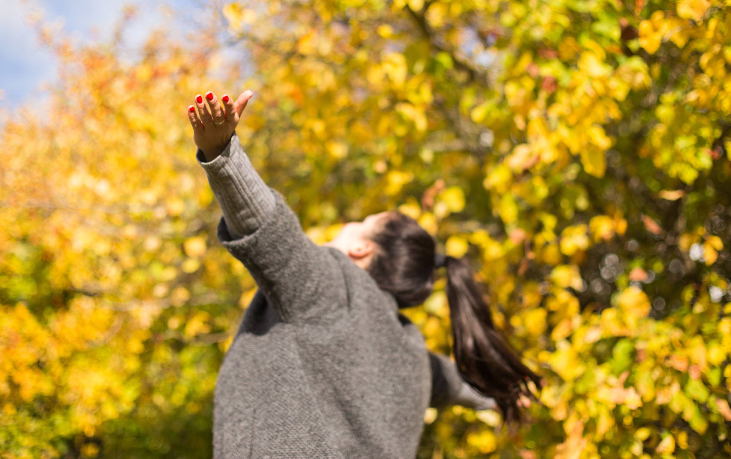 Sig TAK under alle forhold