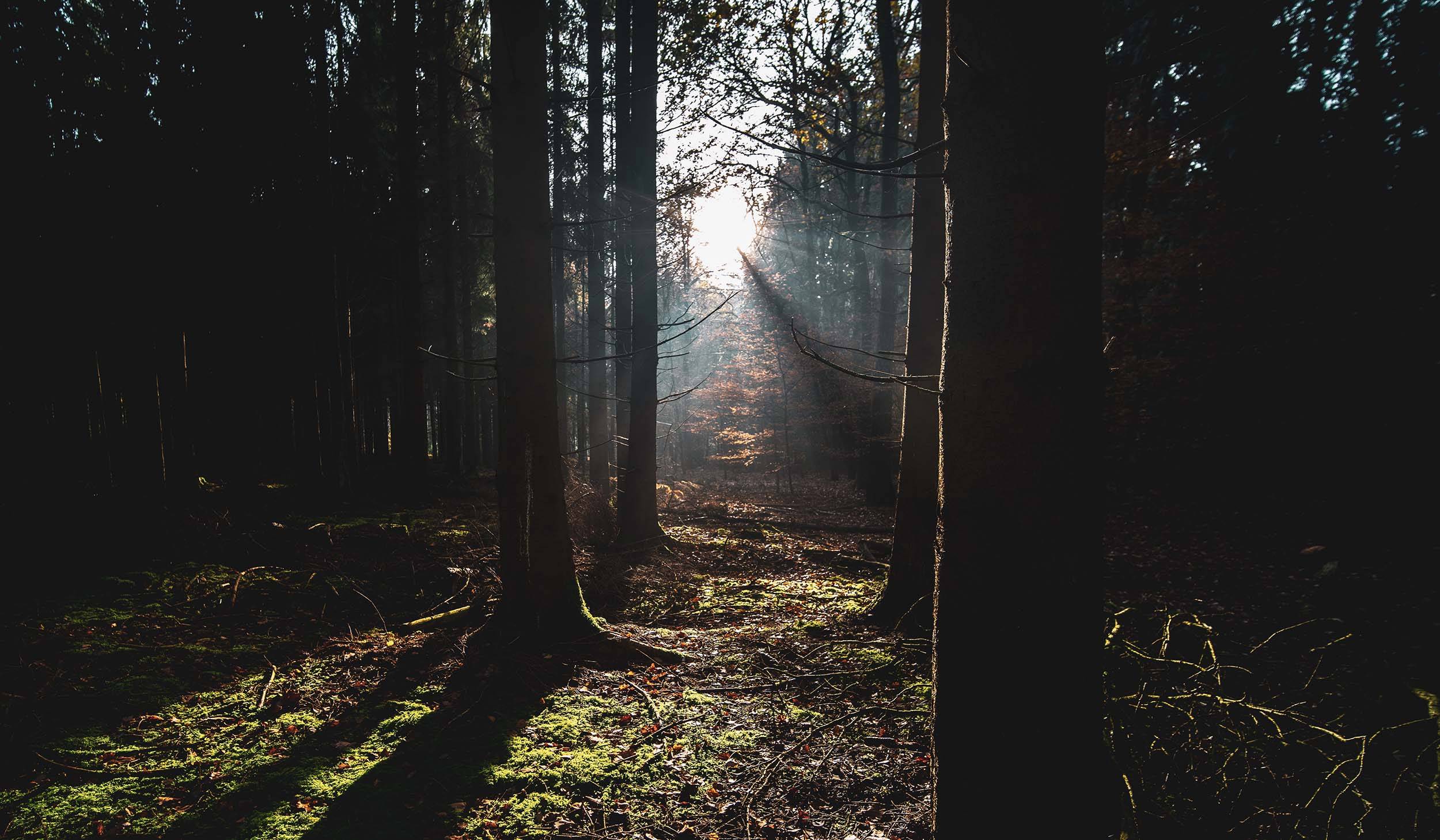 Hvorfor hader Gyd synd?